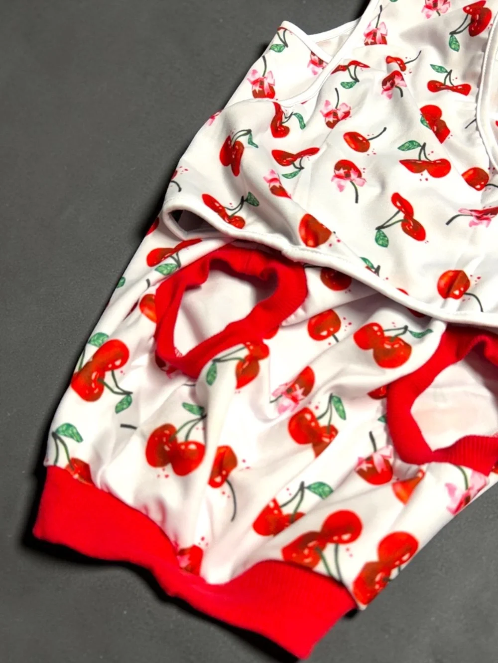 Dog Recovery Suit Large Cherry Print Surgery Onesie NWOT